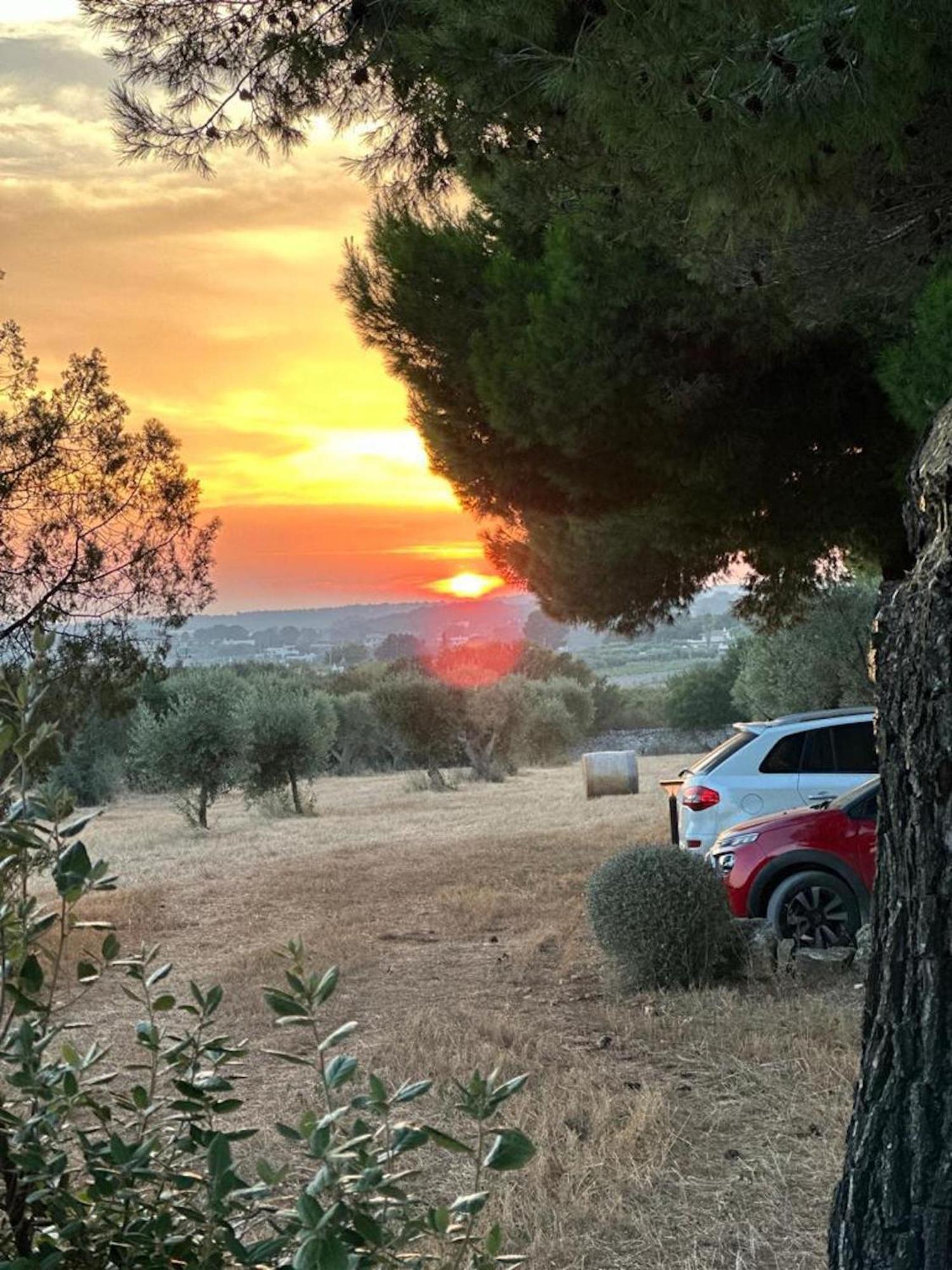 مارتينا فرانكا Masseria Battaglini المظهر الخارجي الصورة